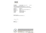 防靜電橡膠墊SGS-阻燃檢測報告-英文版 防靜電橡膠墊SGS-阻燃檢測報告-英文版